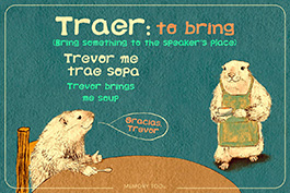 Mnemonic for the verb TRAER